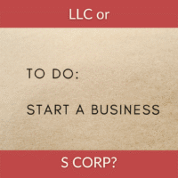 LLC or S CORP?